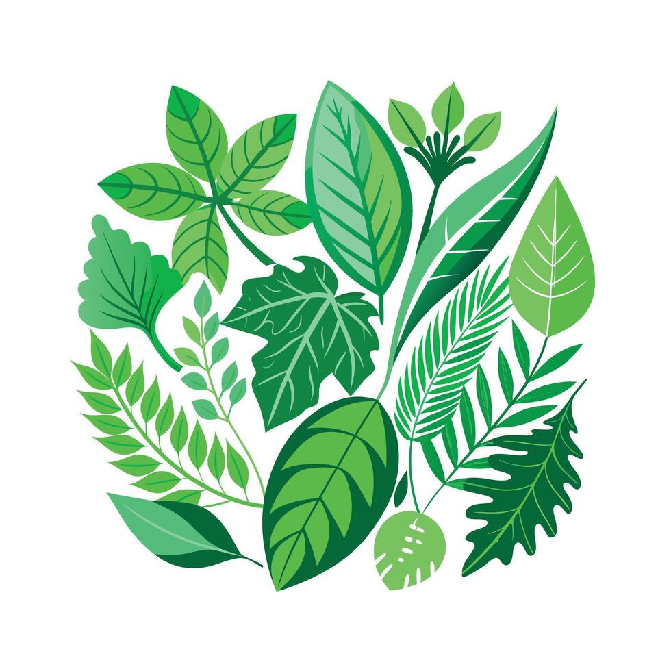 Realistic Beautiful Leaves Illustration vector