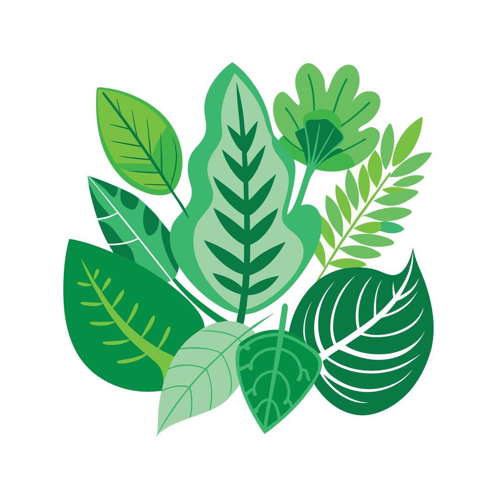 Realistic Beautiful Leaves Illustration vector