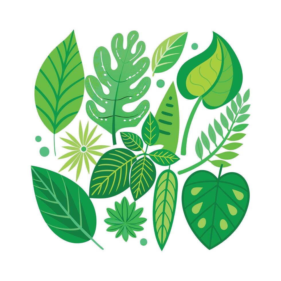 Realistic Beautiful Leaves Illustration vector