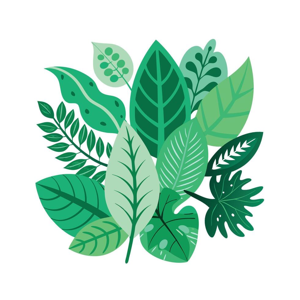 Realistic Beautiful Leaves Illustration vector