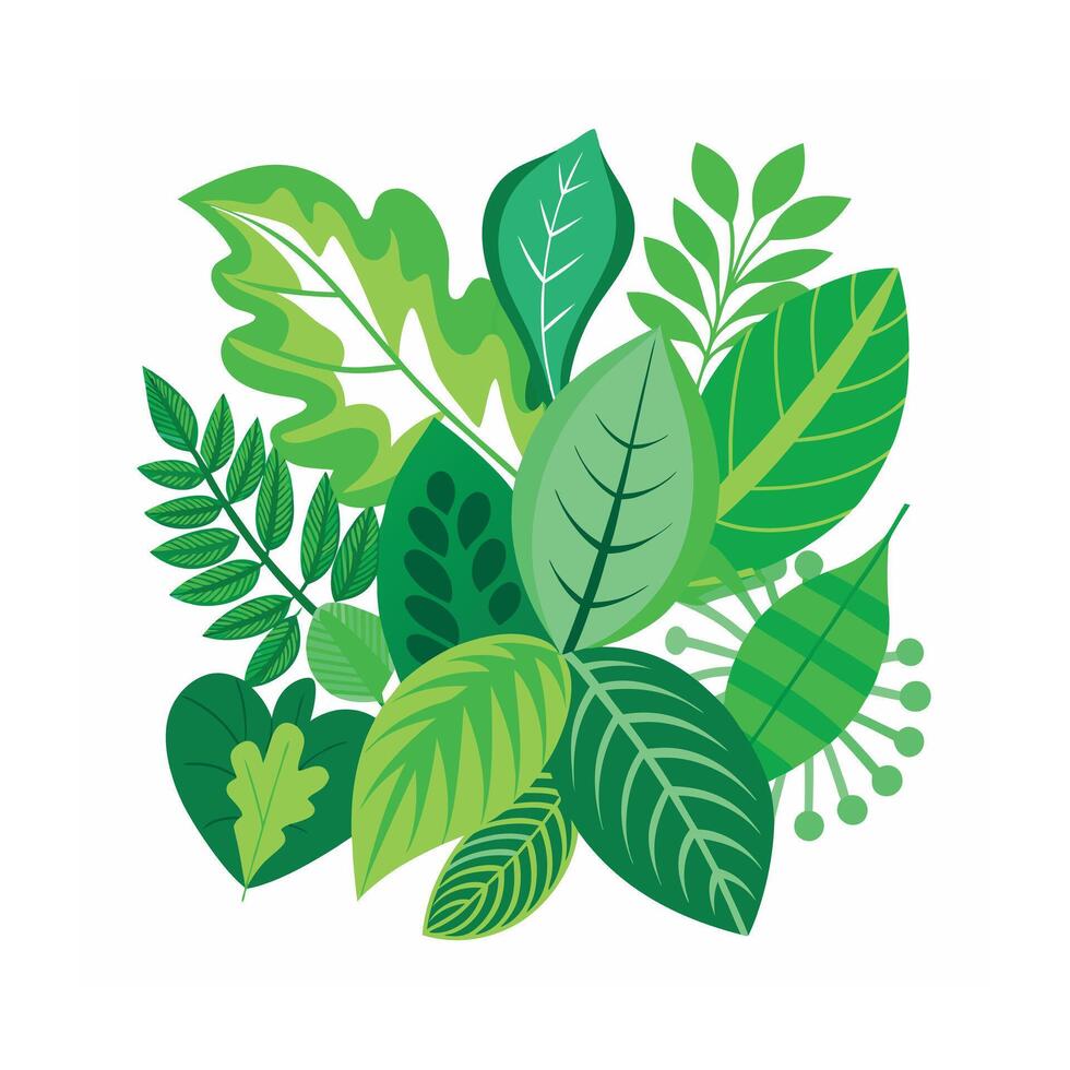 Realistic Beautiful Leaves Illustration vector
