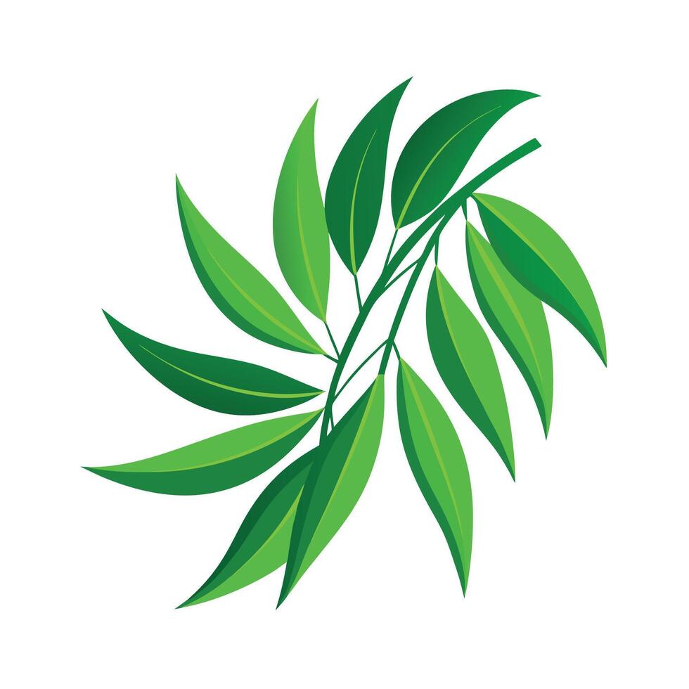 Realistic Beautiful Leaves Illustration vector