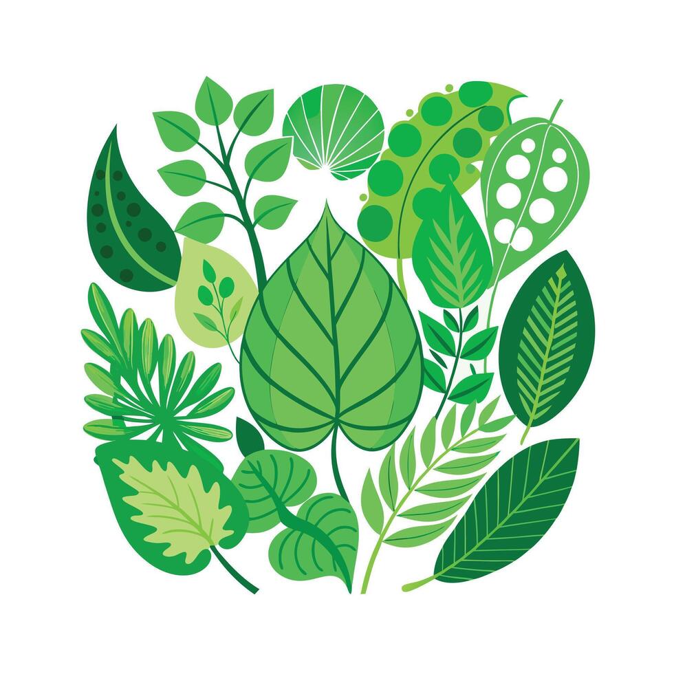 Realistic Beautiful Leaves Illustration vector
