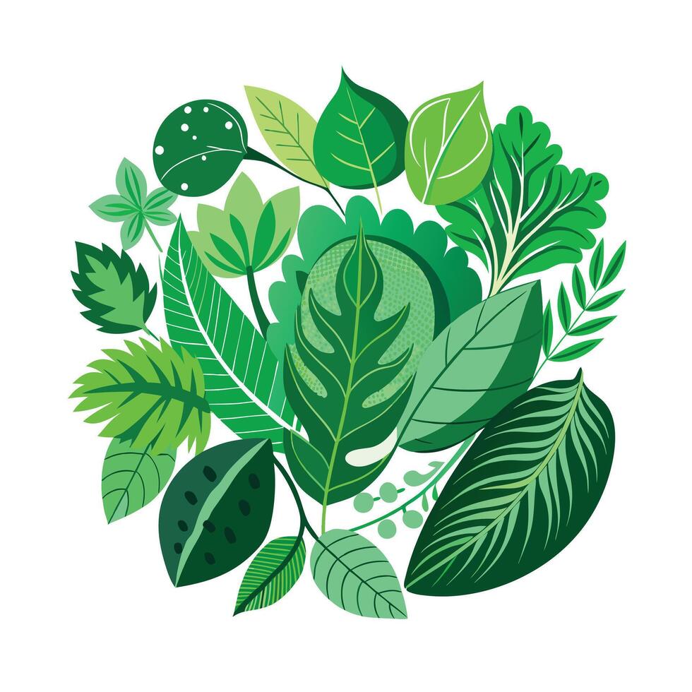 Realistic Beautiful Leaves Illustration vector