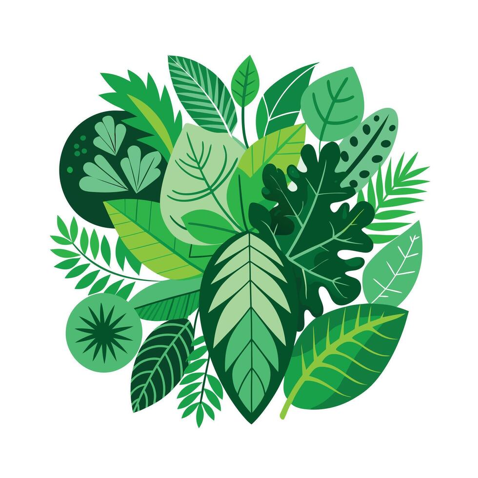 Realistic Beautiful Leaves Illustration vector