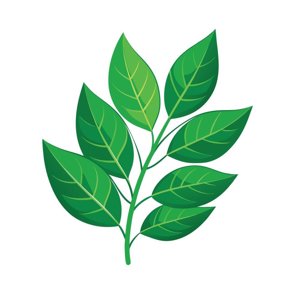 Realistic Beautiful Leaves Illustration vector