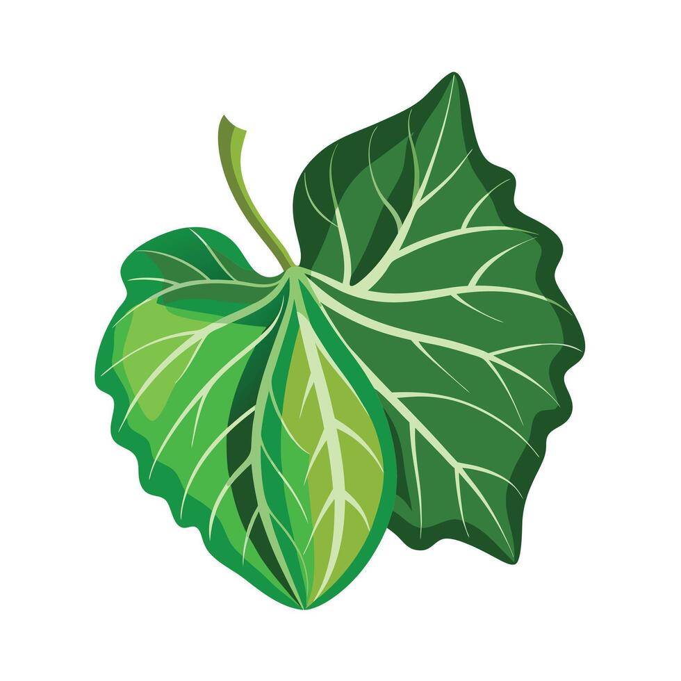 Realistic Beautiful Leaves Illustration vector