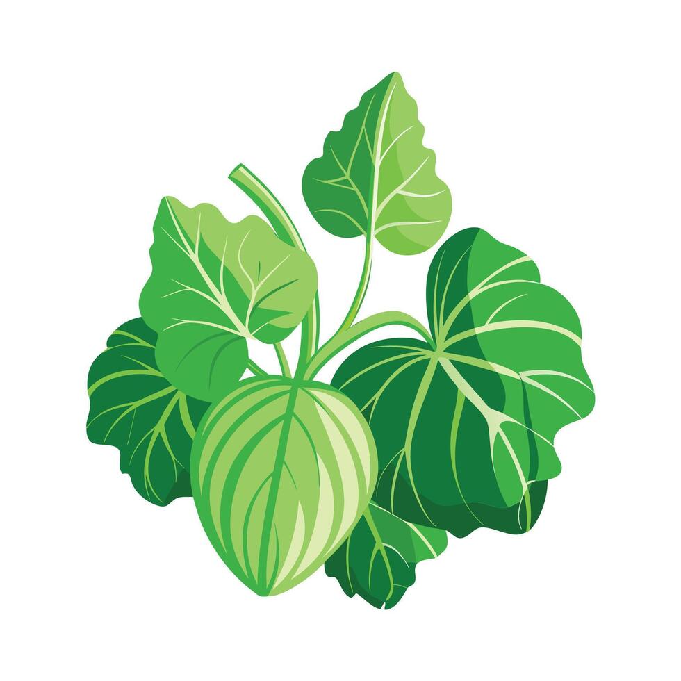 Realistic Beautiful Leaves Illustration vector