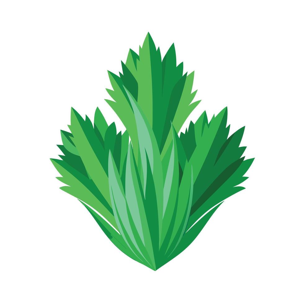 Realistic Beautiful Leaves Illustration vector