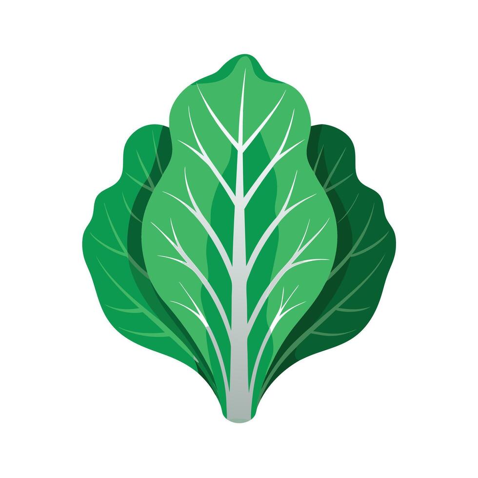 Realistic Beautiful Leaves Illustration vector