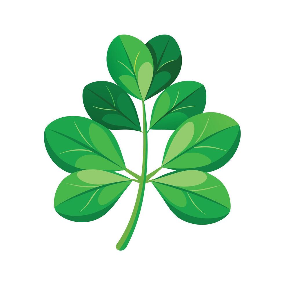 Realistic Beautiful Leaves Illustration vector