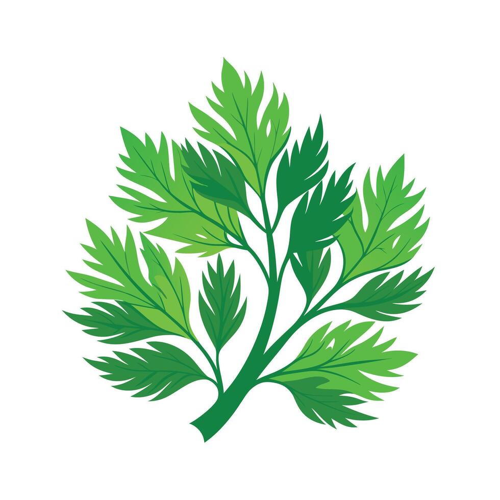 Realistic Beautiful Leaves Illustration vector