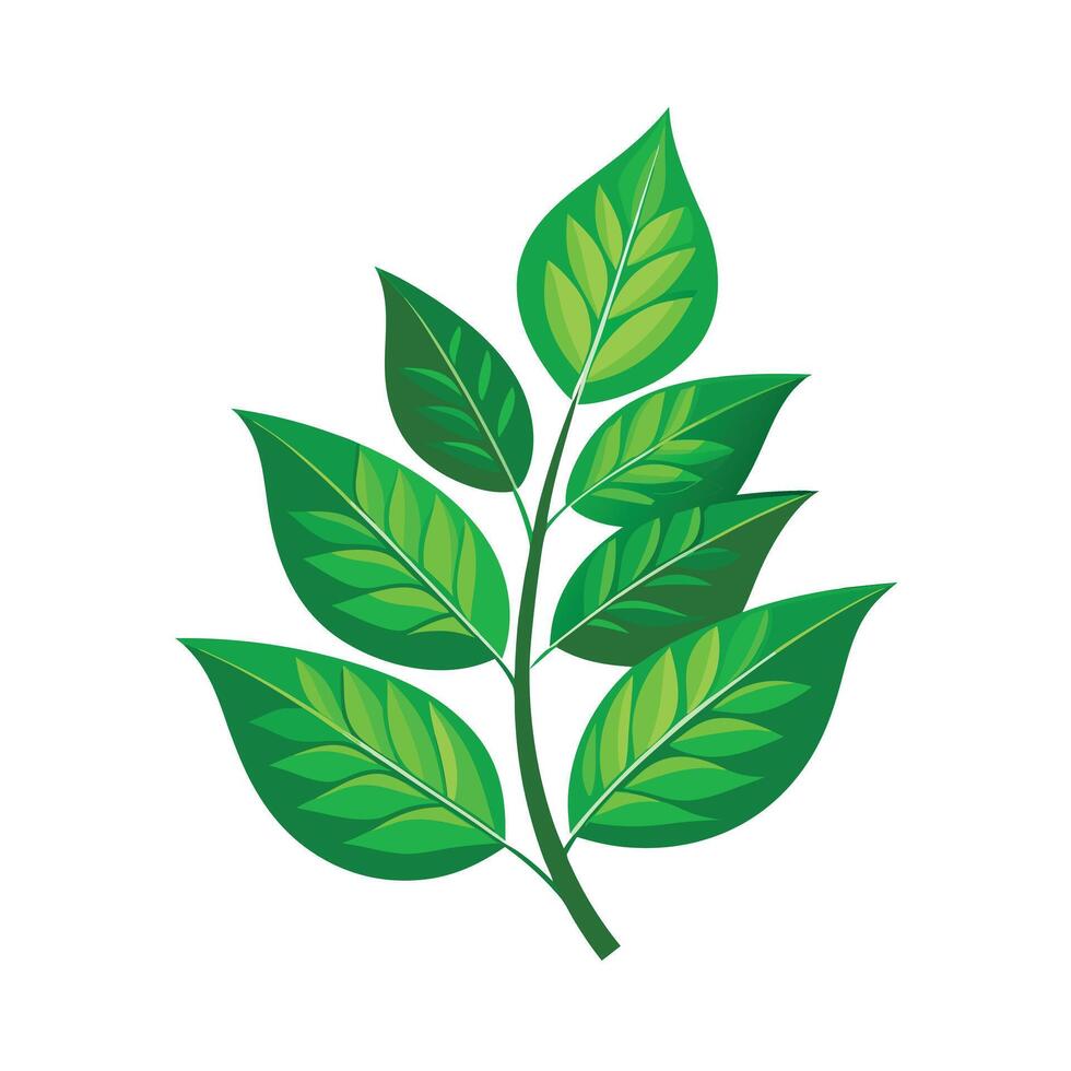 Realistic Beautiful Leaves Illustration vector