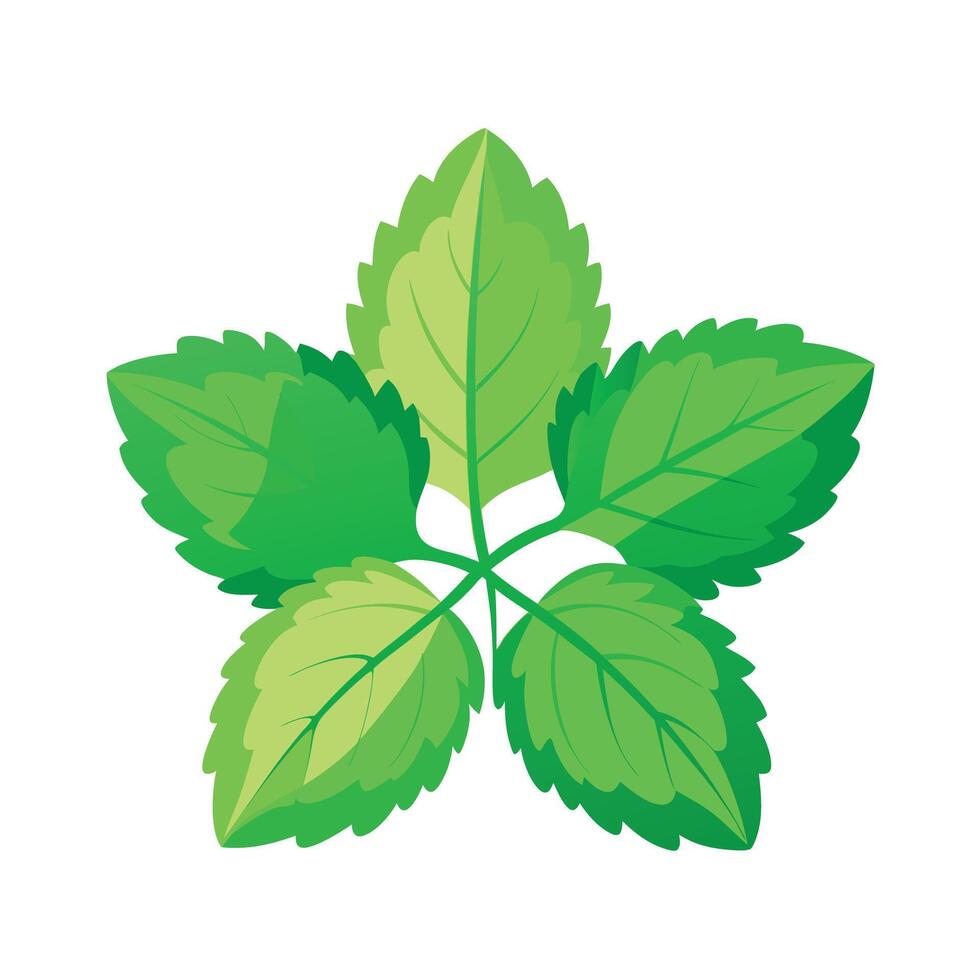 Realistic Beautiful Leaves Illustration vector