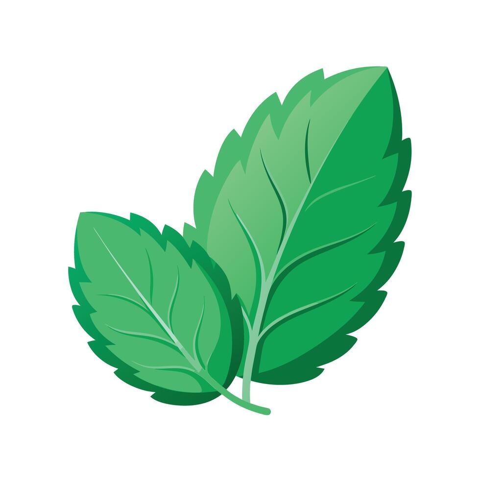 Realistic Beautiful Leaves Illustration vector