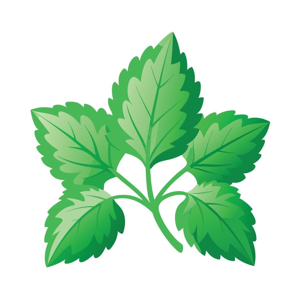 Realistic Beautiful Leaves Illustration vector
