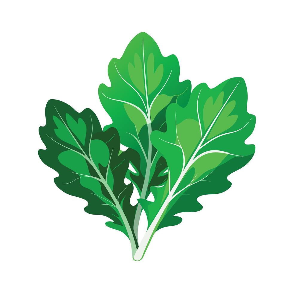 Realistic Beautiful Leaves Illustration vector