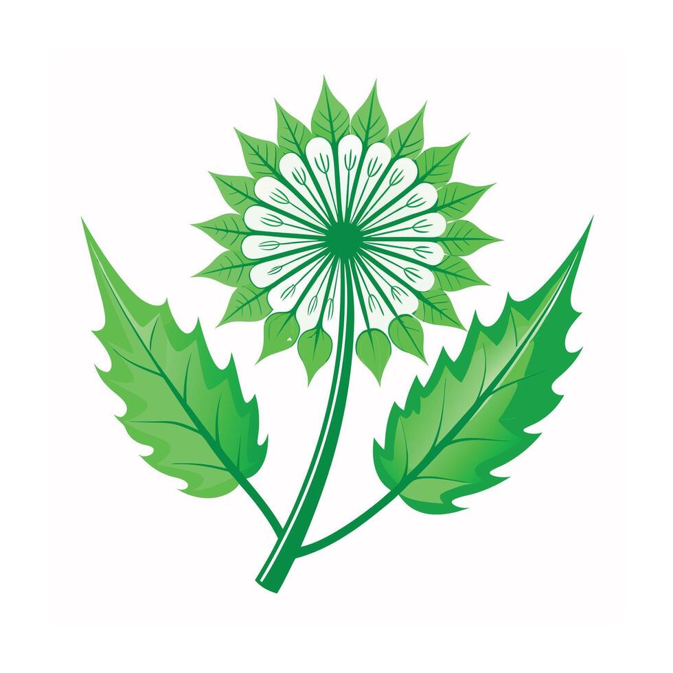 Realistic Beautiful Leaves Illustration vector
