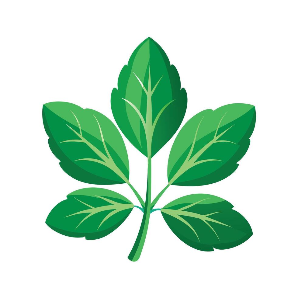 Realistic Beautiful Leaves Illustration vector