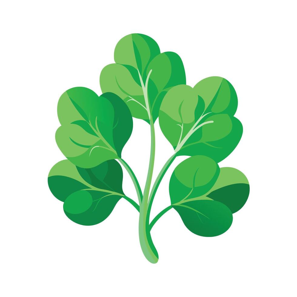 Realistic Beautiful Leaves Illustration vector