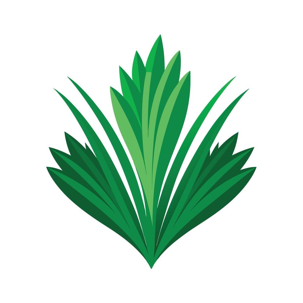 Realistic Beautiful Leaves Illustration vector