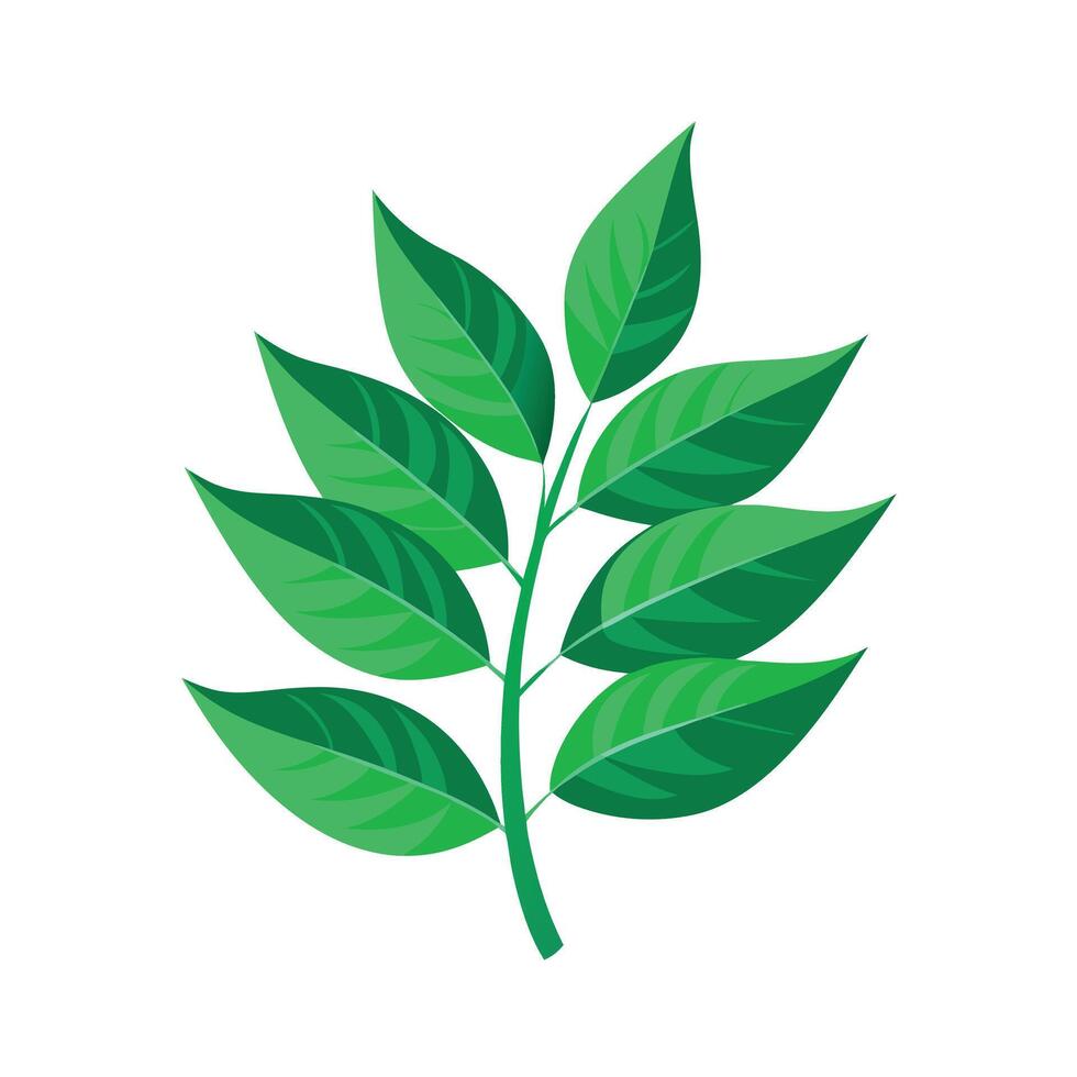 Realistic Beautiful Leaves Illustration vector