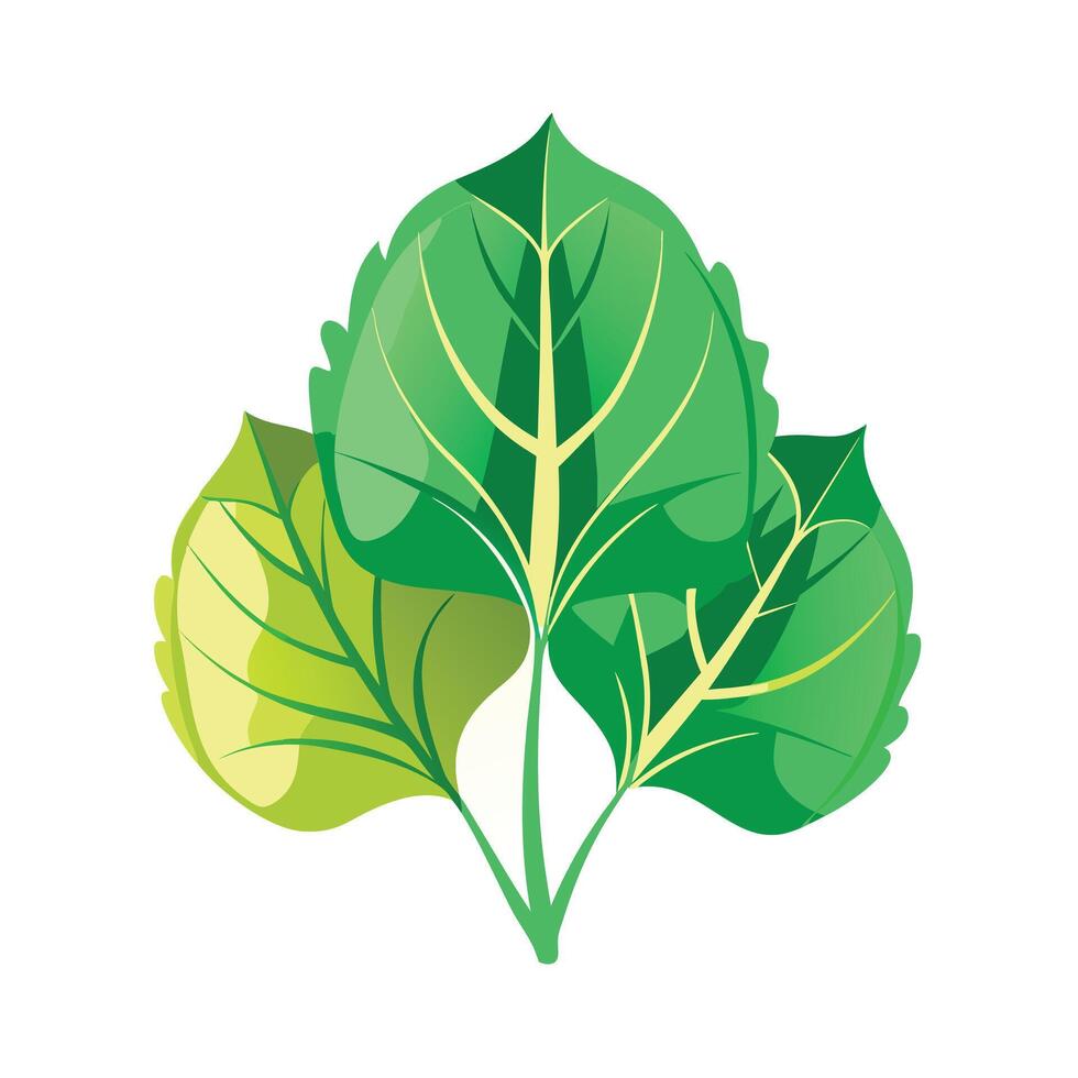 Realistic Beautiful Leaves Illustration vector