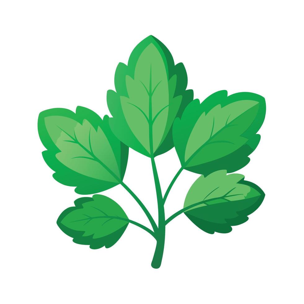 Realistic Beautiful Leaves Illustration vector