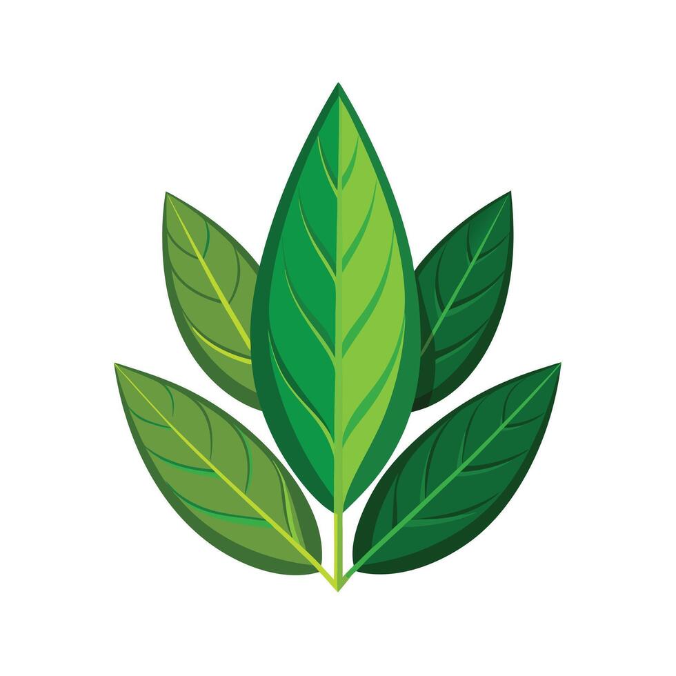 Realistic Beautiful Leaves Illustration vector