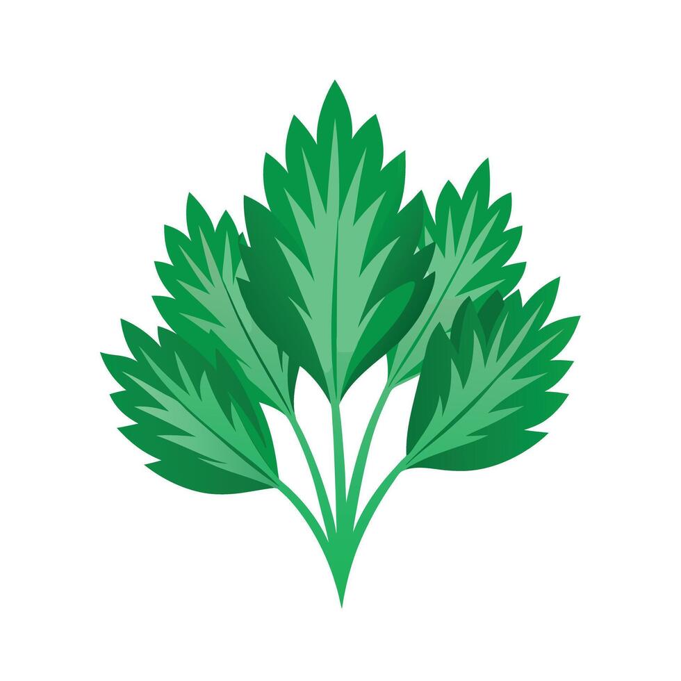 Realistic Beautiful Leaves Illustration vector