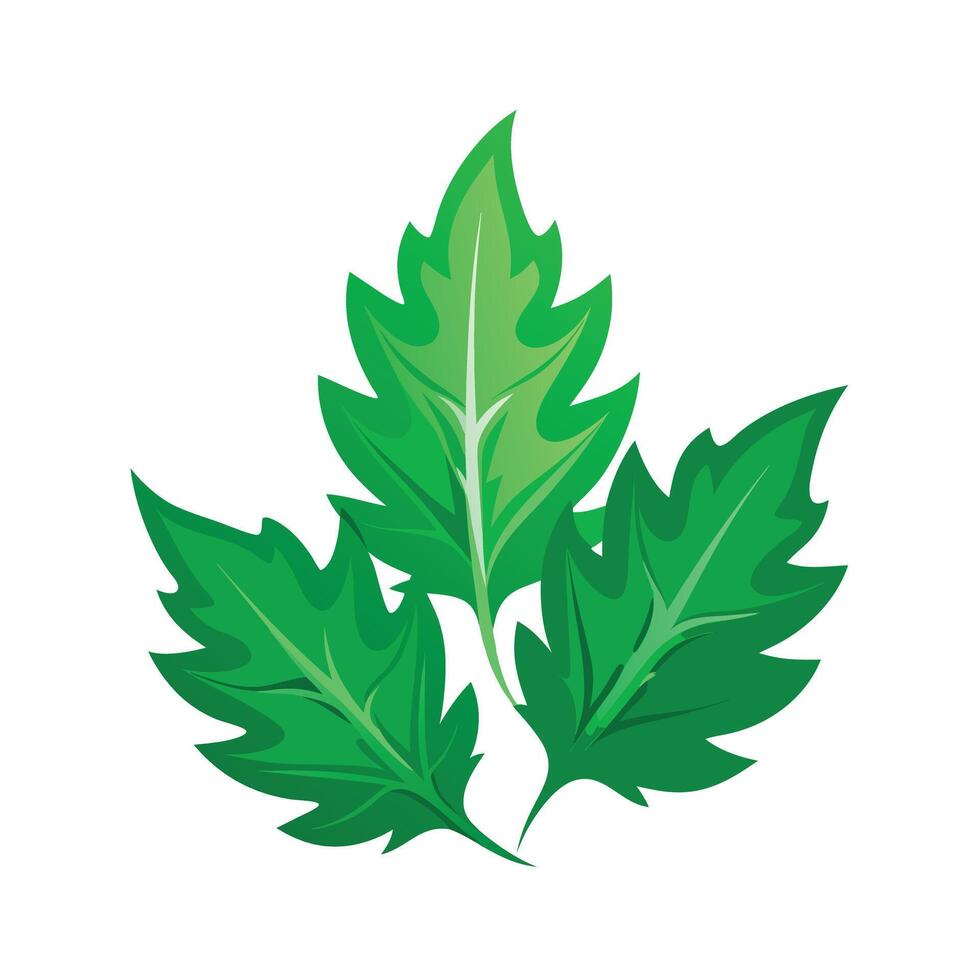 Realistic Beautiful Leaves Illustration vector