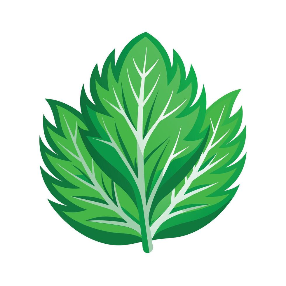 Realistic Beautiful Leaves Illustration vector