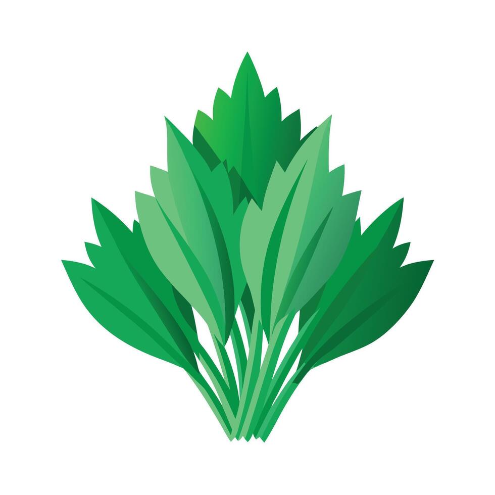 Realistic Beautiful Leaves Illustration vector