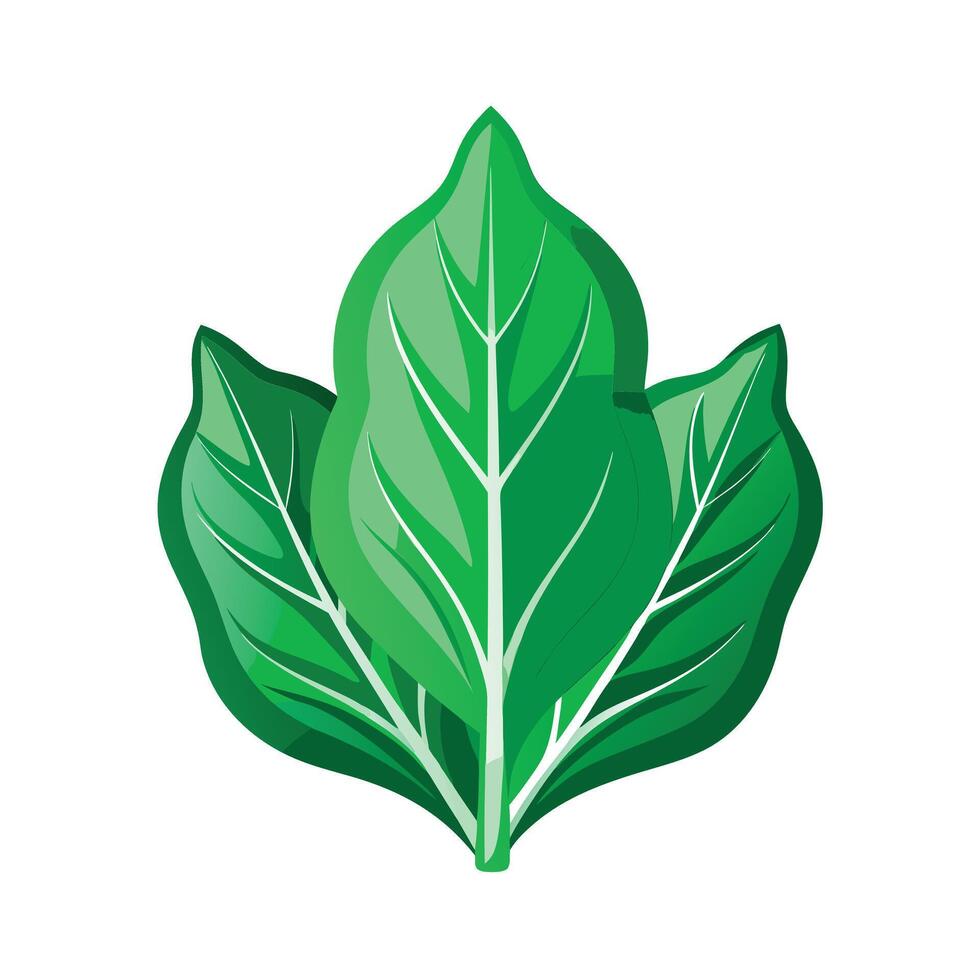 Realistic Beautiful Leaves Illustration vector