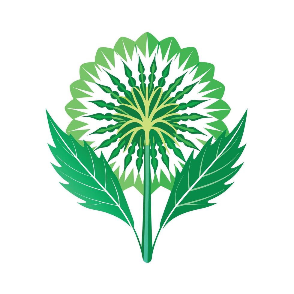 Realistic Beautiful Leaves Illustration vector