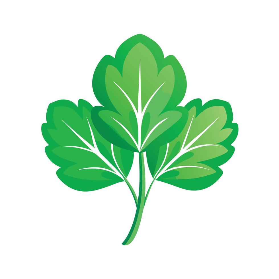 Realistic Beautiful Leaves Illustration vector