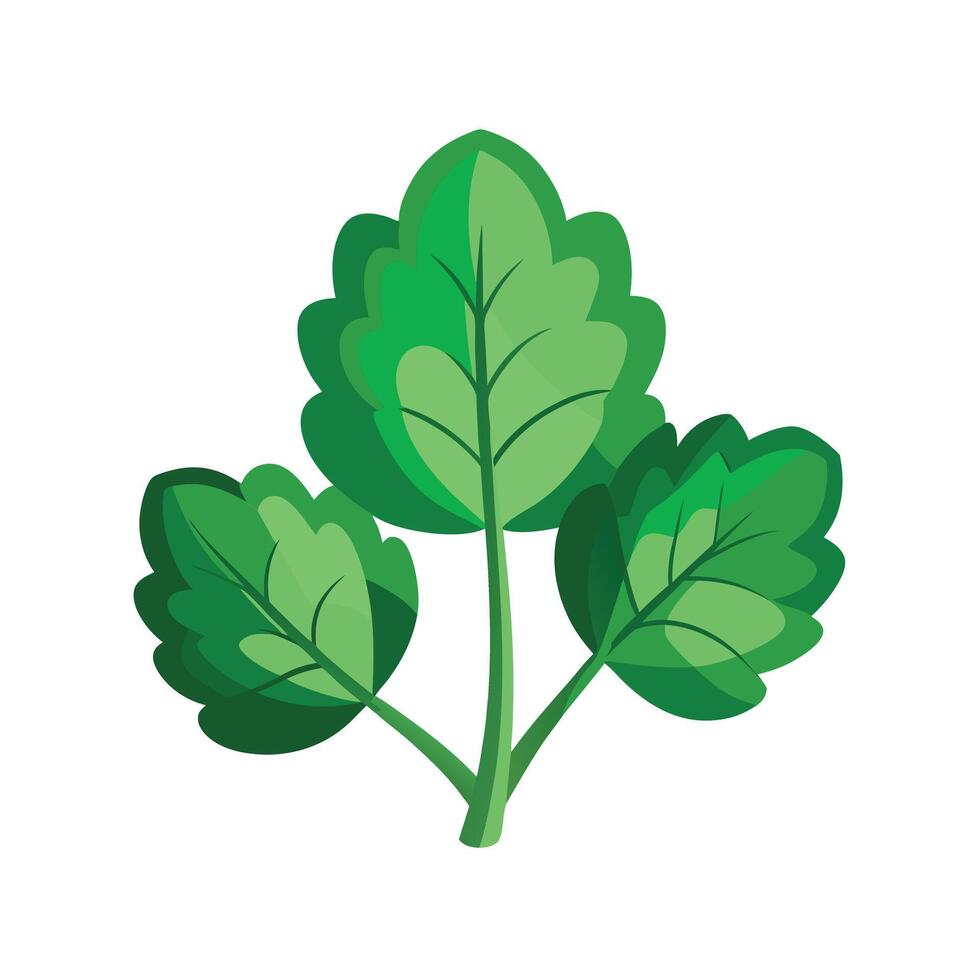 Realistic Beautiful Leaves Illustration vector