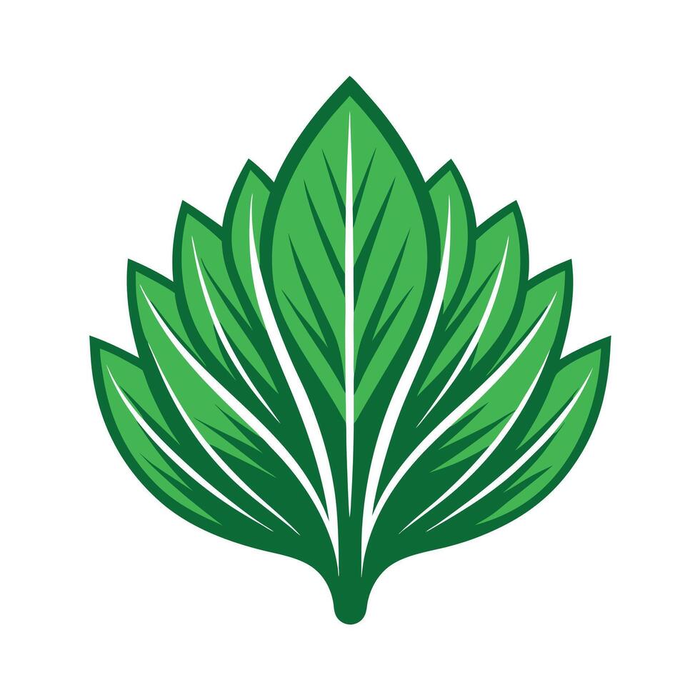 Realistic Beautiful Leaves Illustration vector