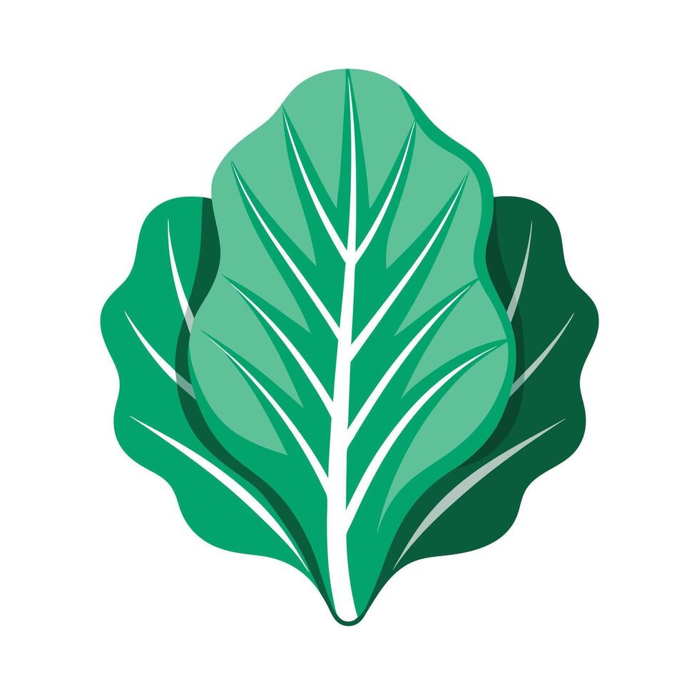 Realistic Beautiful Leaves Illustration vector
