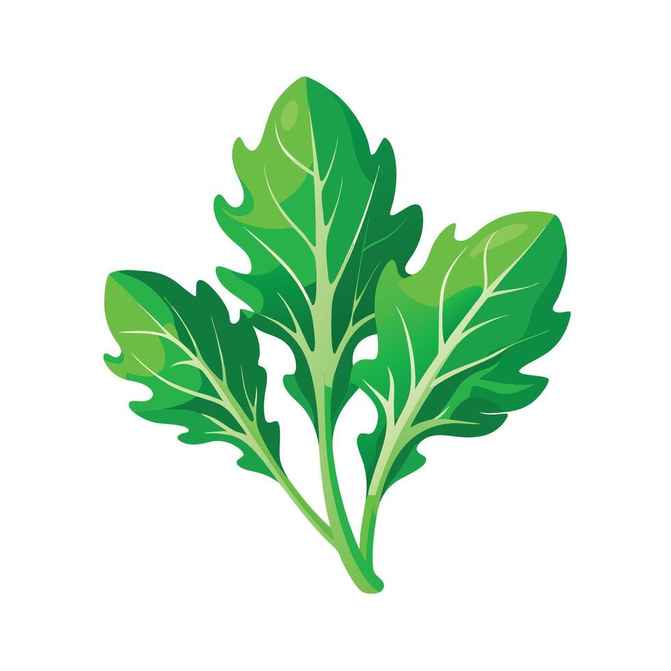 Realistic Beautiful Leaves Illustration vector