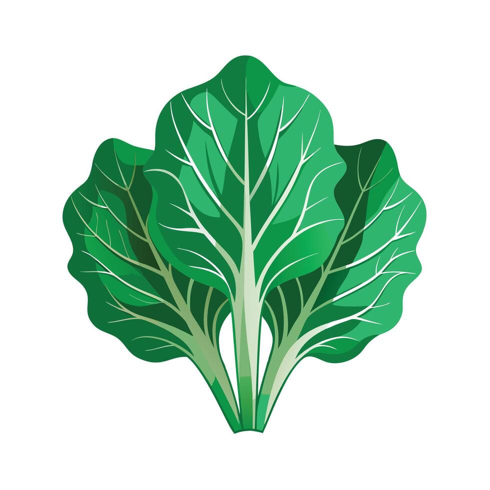 Realistic Beautiful Leaves Illustration vector