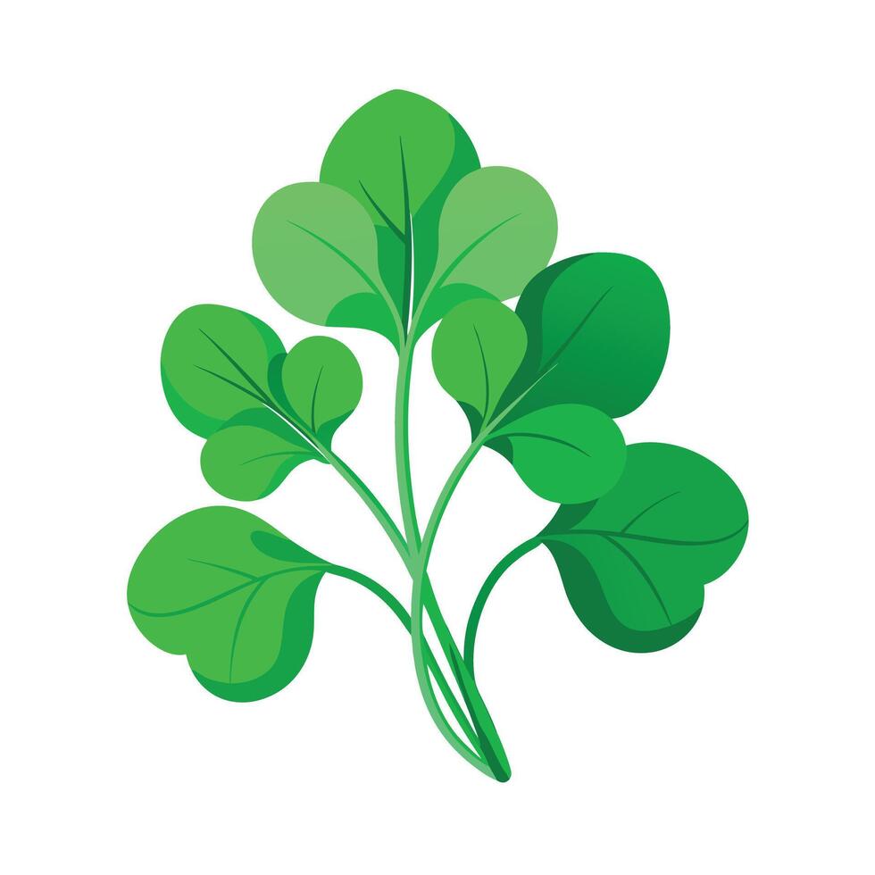 Realistic Beautiful Leaves Illustration vector