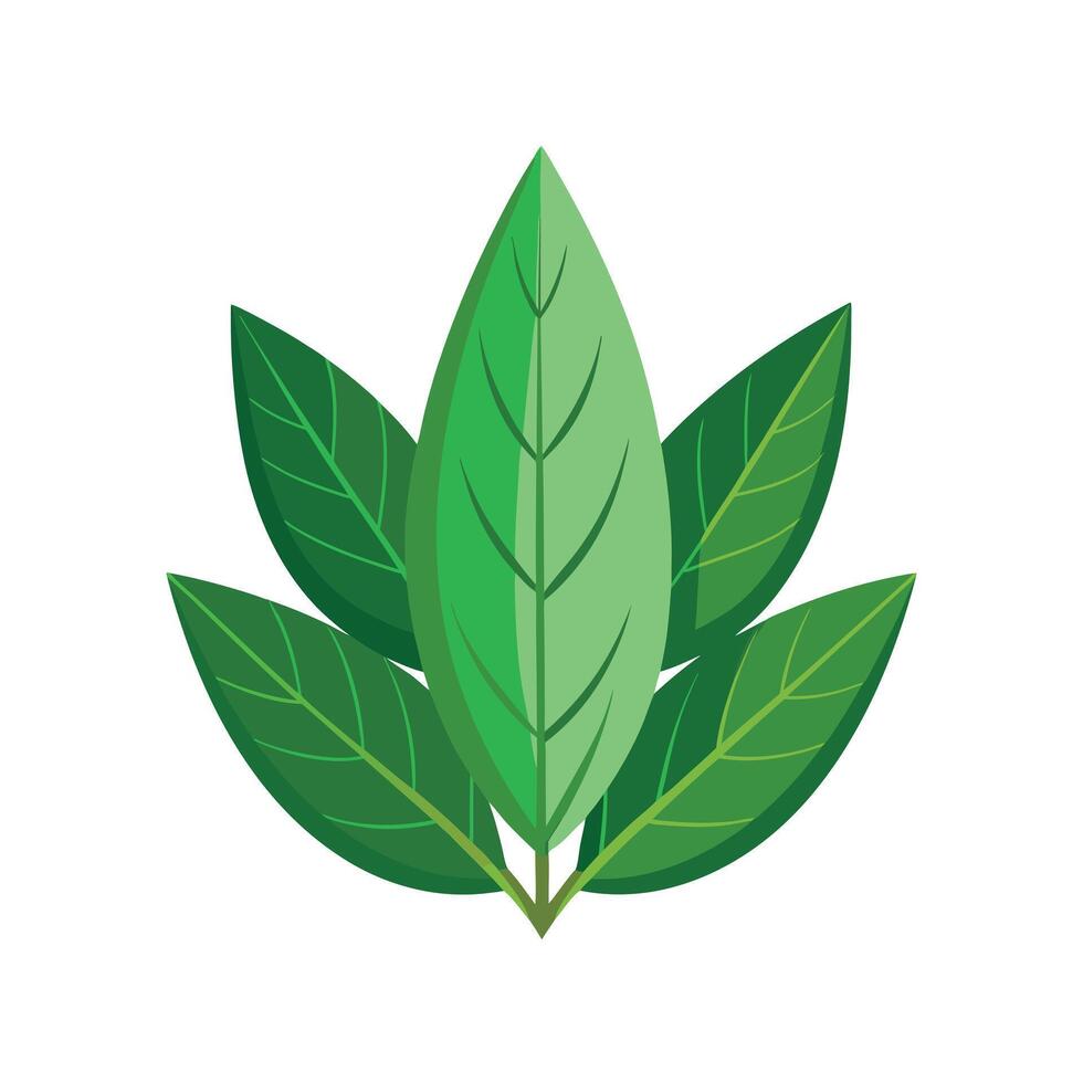 Realistic Beautiful Leaves Illustration vector