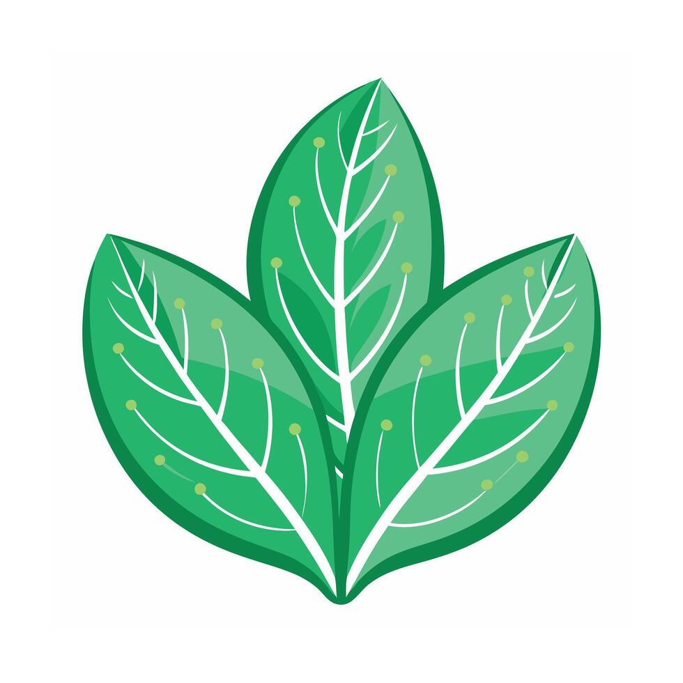Realistic Beautiful Leaves Illustration vector