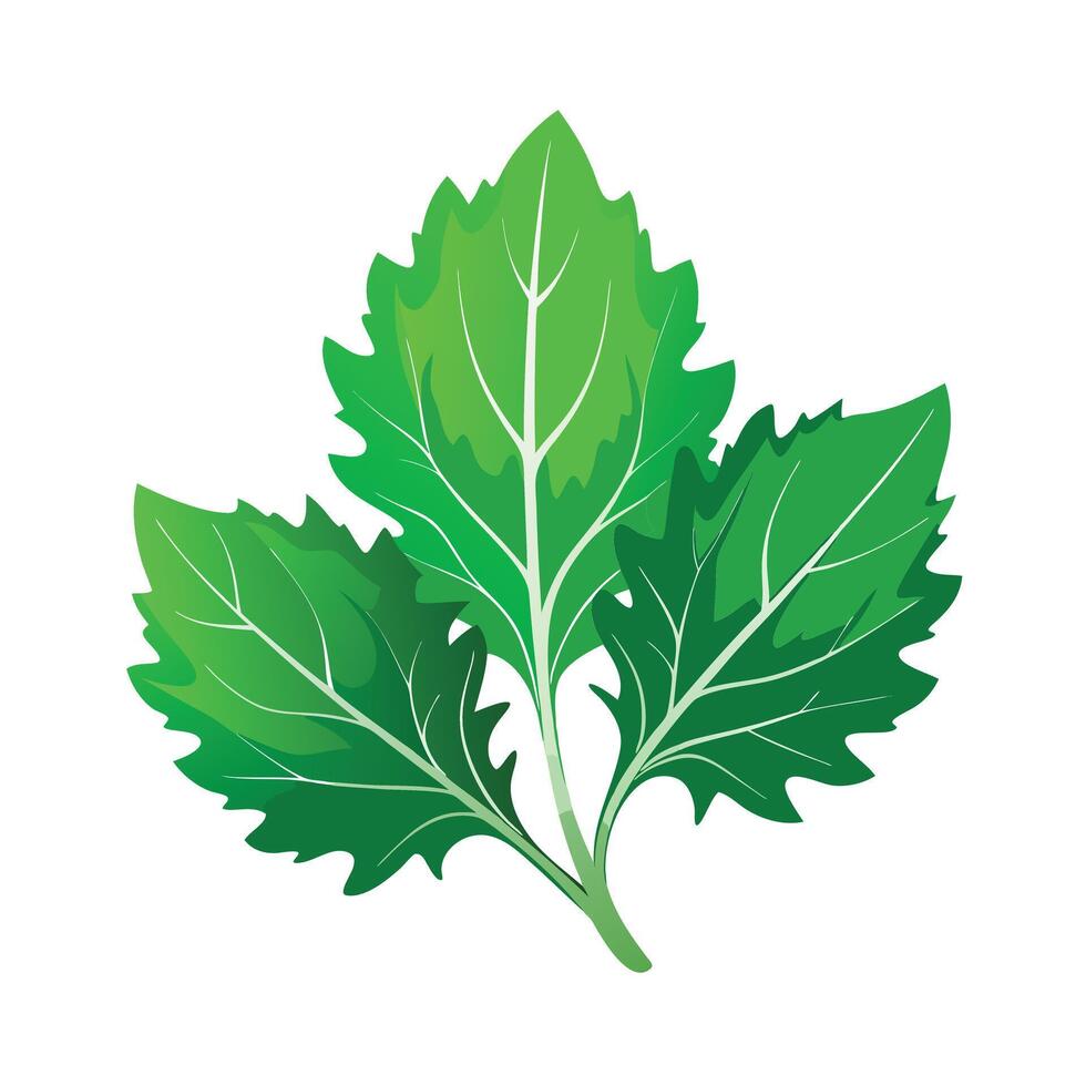 Realistic Beautiful Leaves Illustration vector
