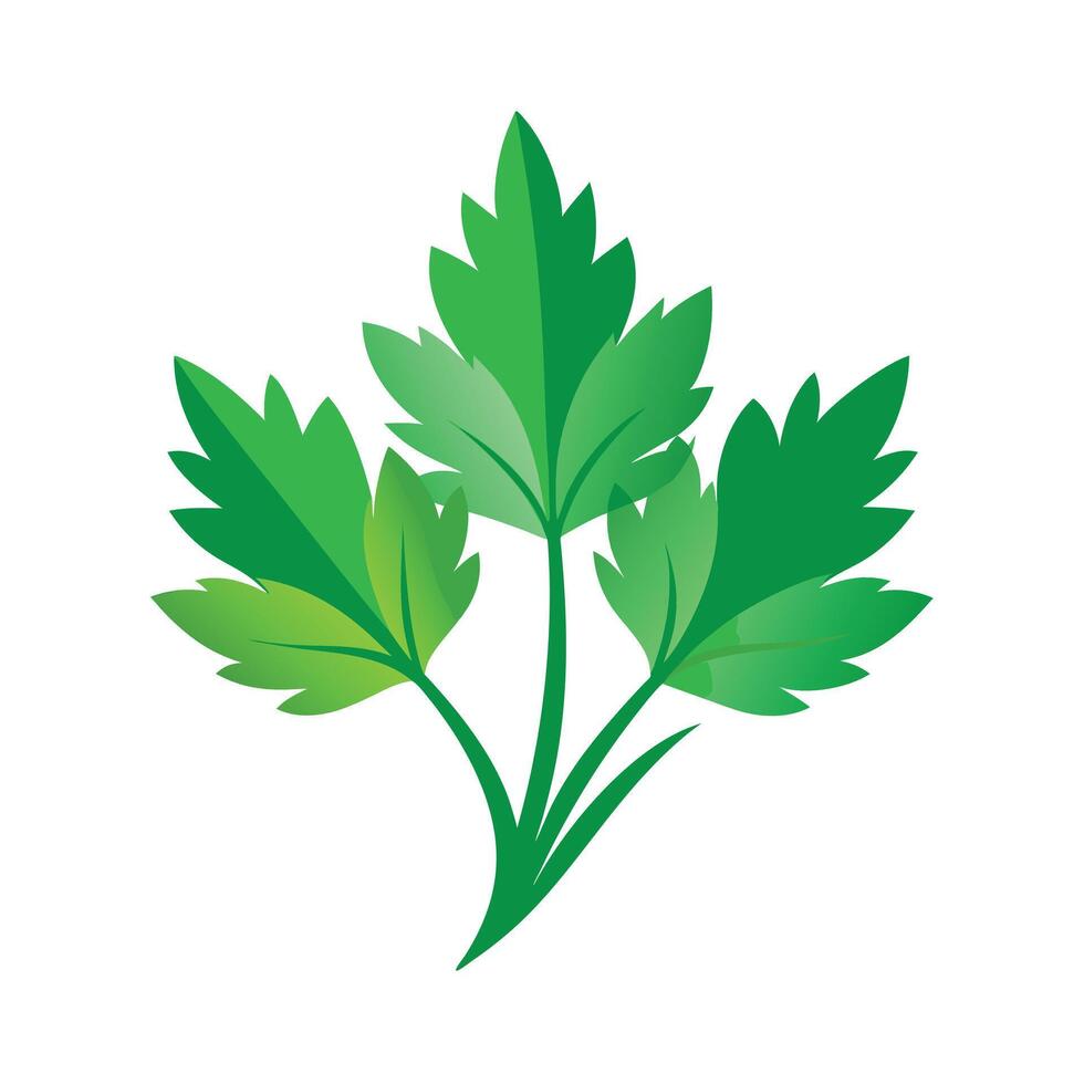 Realistic Beautiful Leaves Illustration vector