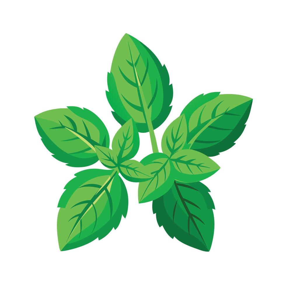 Realistic Beautiful Leaves Illustration vector