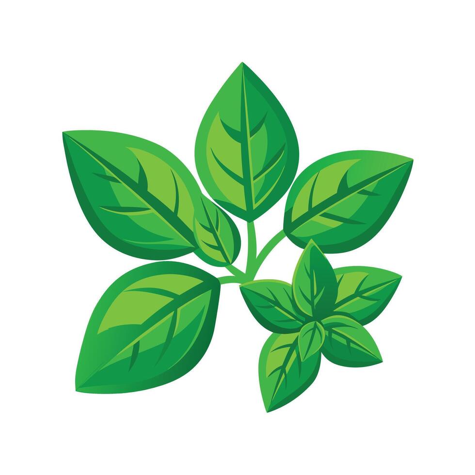 Realistic Beautiful Leaves Illustration vector