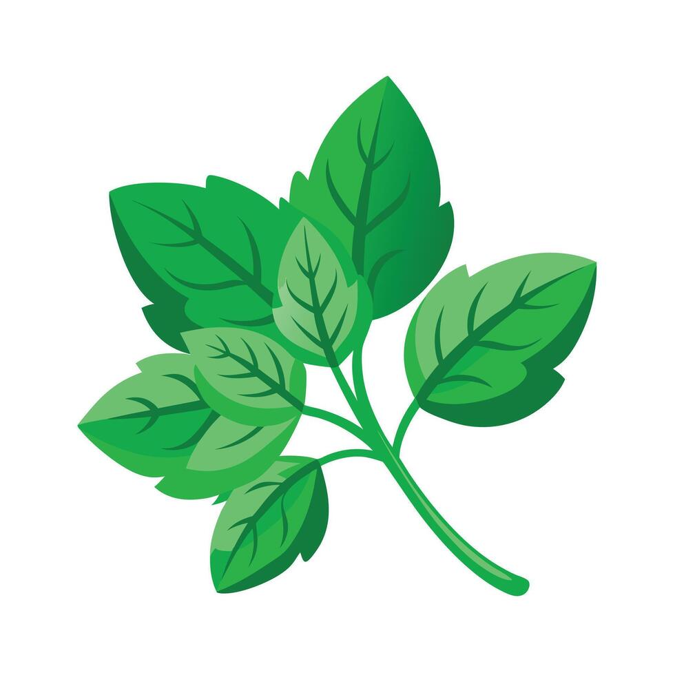 Realistic Beautiful Leaves Illustration vector