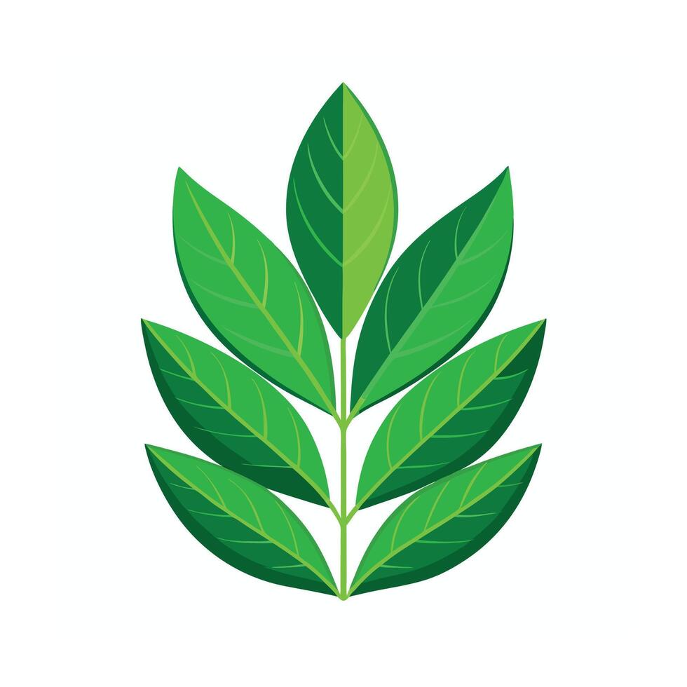 Realistic Beautiful Leaves Illustration vector
